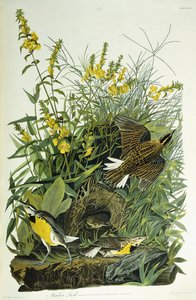 Alondra de Prado, 1832 de John James Audubon