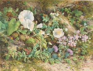 Estudio de flores, 1866 de John Jessop Hardwick