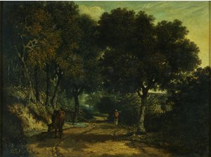 Un camino rural sombreado
