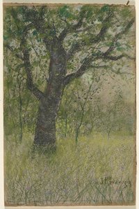 Paisaje