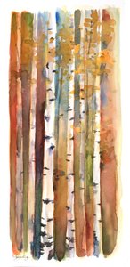 Abedules en otoño, 2013