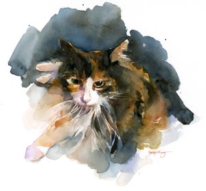 Gato Calicó