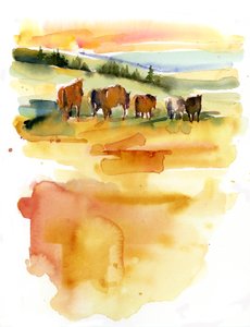 Caballos al atardecer