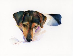 Retrato de Scout