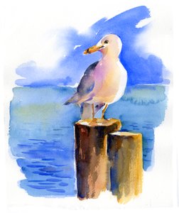 Gaviota en el Muelle