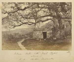 Robles de Valonea con capilla griega encima. B.H. Renkioi, Dardanelos de John Kirk