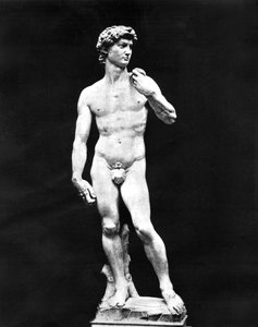 Estatua de David, Florencia, Italia