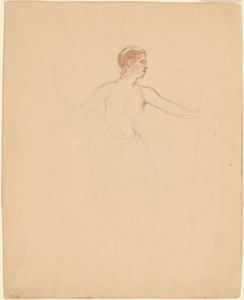 Torso femenino