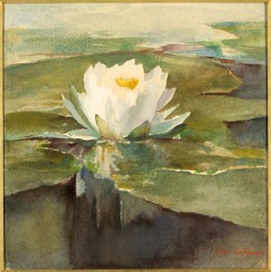 Nenúfar a la luz del sol de John La Farge