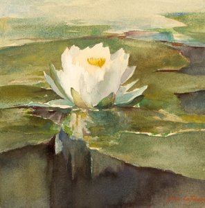 Nenúfar a la Luz del Sol de John La Farge
