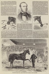 Sr. J S Rarey, el domador de caballos americano