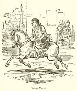 Joven Varro