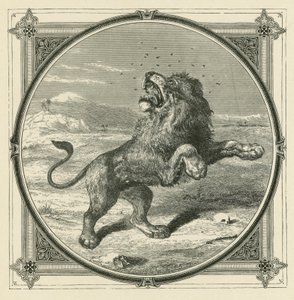 El mosquito pica los ojos del león de John Leighton