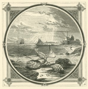 El mordedor mordido de John Leighton