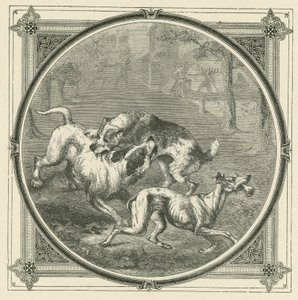 Los perros y el hueso de John Leighton