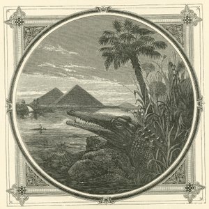 Quien se Hace Daño a Sí Mismo, no Beneficia a Nadie de John Leighton