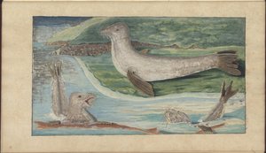 Dibujos de Lindsay Vol. VII, 32 de John Lindsay
