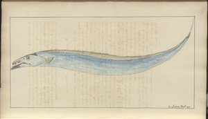 Dibujos de Lindsay Vol. VII, 9 de John Lindsay