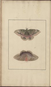 Dibujos de Lindsay Vol. VI de John Lindsay