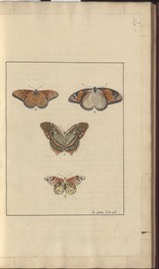 Dibujos de Lindsay Vol. VI, 30 de John Lindsay