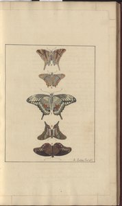 Dibujos de Lindsay Vol. VI, 32 de John Lindsay