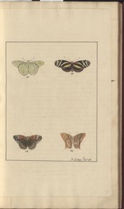 Lindsay Drawings Vol. VI, 36 de John Lindsay