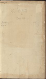 Lindsay Drawings Vol. VI, frontispicio de John Lindsay