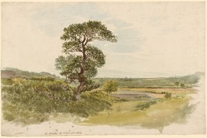 Un paisaje en Snowdonia con un árbol en primer plano de John Linnell