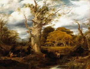 Escena de bosque