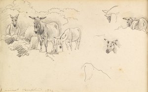 Burros, 1824