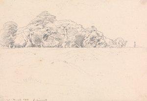 Bosque de Windsor de John Linnell