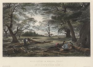 Corte de madera en el bosque de Windsor