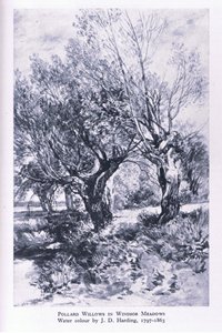 Leñadores en las afueras del Bosque de Windsor, Naturaleza en Gran Bretaña publicado por Collins de John Linnell