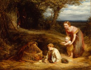 cría joven de John Linnell