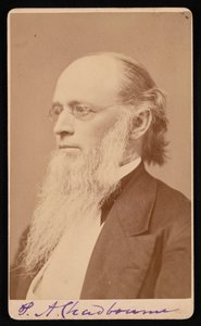 Retrato de Paul Ansel Chadbourne 1823-1883, entre 1872 y 1875 de John Lyman Lovell