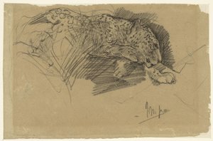 Estudios de un leopardo