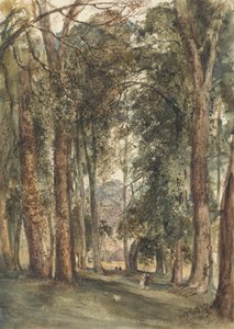 Jardines de Kensington de John Martin