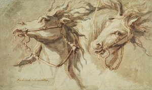 Dos cabezas de caballos