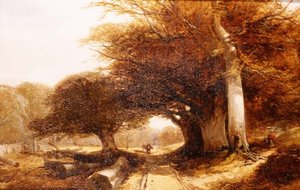 Paisaje forestal de John Middleton
