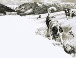 Por eso... Estos perros de montaña se llaman San Bernardos de John Millar Watt