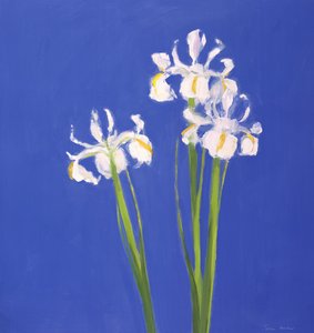 Exelsior Blanco Holandés, 2000 de John Miller