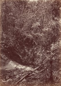 Expedición Darién, 1871 (foto) de John Moran