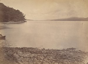 Paisaje tropical, Puerto de Darién - Mirando al sur, 1871 de John Moran