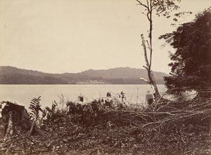 Paisaje Tropical, Puerto de Darién, Chipigana, 1871 de John Moran