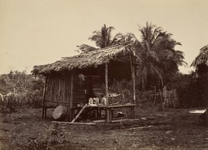 Escenario Tropical, Cabaña Nativa, Turbo de John Moran