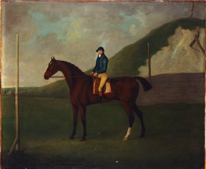 "Creeper", un potro bayo con jinete en el punto de partida en el Running Gap en el Devils Ditch, Newmarket de John Nott Sartorius