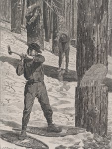 Explotación forestal en invierno, Every Saturday, Vol. II, Nueva Serie, 28 de enero de 1871