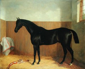 Tommy, retrato de un caballo, c.1870s de John Paul