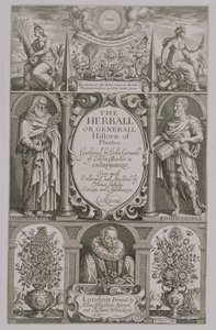 Portada de la segunda edición de The Herball por John Gerard, 1633 de John Payne