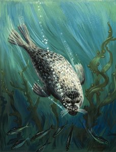 La foca, nuestra amiga del mar